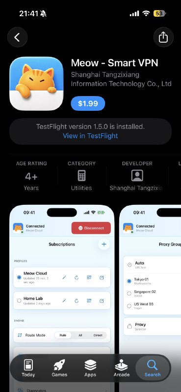 还是一只小猫咪 AppMadeye 相信大家都耳熟能详了，从 Clowwindy 时代出现的大佬，绝对的活化石，似乎一直在 NVDA 打工